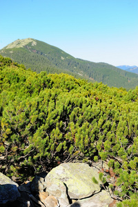 山风景