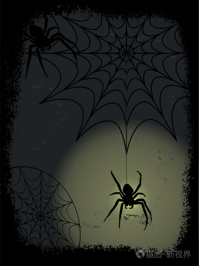 黑蜘蛛
