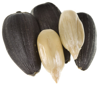 被剥皮的向日葵种子图片-被剥皮的向日葵种子素材-被剥皮的向日葵种子