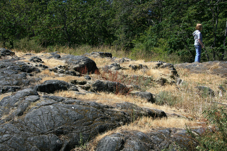 岩石地面笔架山公园 维多利亚，不列颠哥伦比亚省加拿大