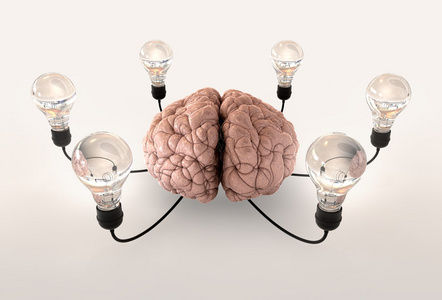 大脑和灯泡的想象力