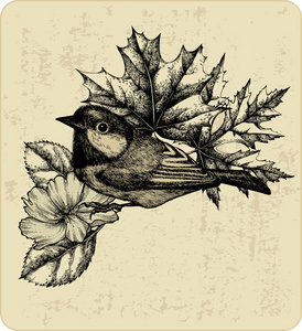 鸟 titmouse 叶子和野玫瑰的矢量插画