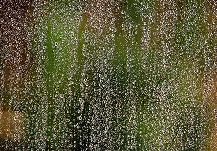 水滴在窗户玻璃上,雨后在明亮的阳光下雨后, 粉红色玫瑰花与水滴快乐