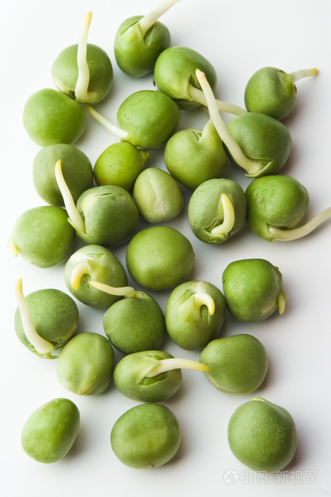 发芽的豌豆照片-正版商用图片1ak5o5-摄图新视界