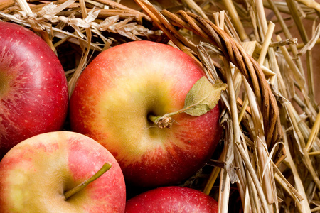 新鲜的红苹果在篮子里用稻草在夏时制