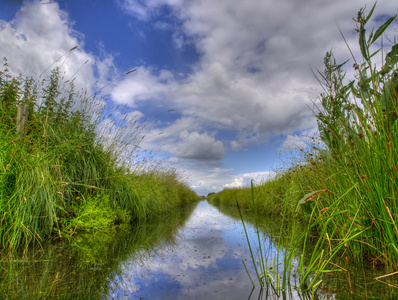 荷兰自然保护区淡水沟图片
