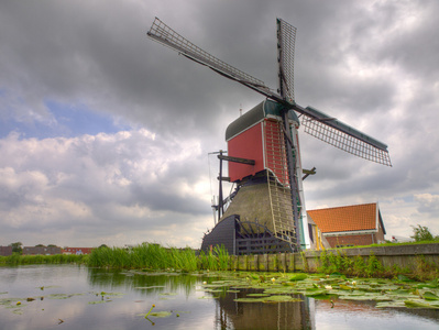 老荷兰风车