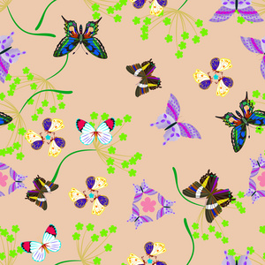 卡与蝴蝶和鲜花