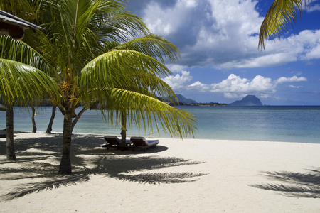 美丽的热带海滩在毛里求斯的豪华度假村