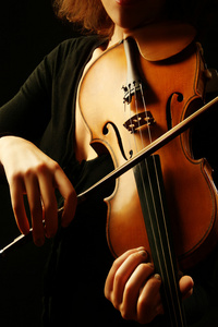 小提琴乐队乐器小提琴手