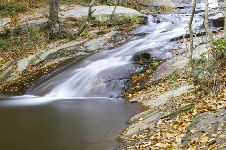 在秋季 montseny