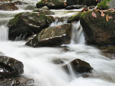 小卵石或岩石在克里克或流流动的水