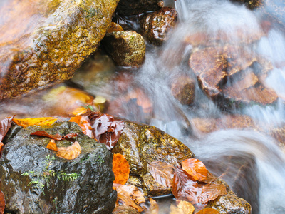 小卵石或岩石在克里克或流流动的水