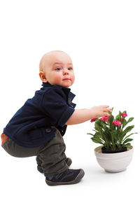 男孩与房子植物