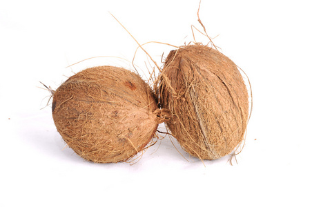 Coconut exotic tropical fruit nut palm fruits  two coconut