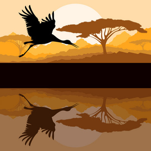 鹤飞在野生山自然风景图片