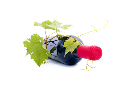 瓶的葡萄酒和葡萄 葡萄叶在它附近