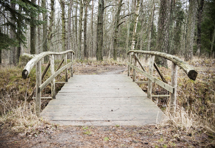 在森林里的老木桥