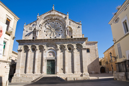 troia 大教堂。普利亚大区。意大利