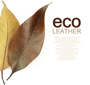 生态皮革概念。在白色背景上的棕色秋天叶