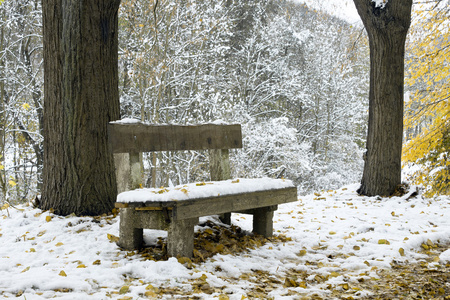 在冬季公园雪下的长椅