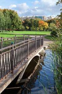横跨河城市公园在金秋时节的行人天桥