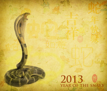 中国书法 2013 年的蛇