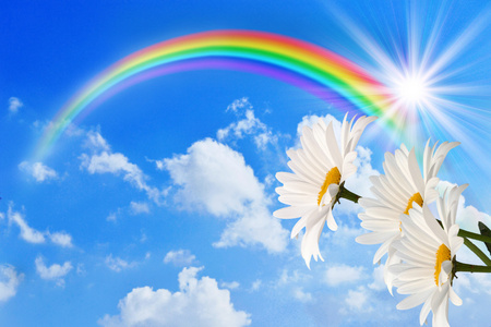 彩虹和雏菊的天空