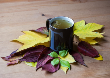 杯茴香茶与种子。秋季装修