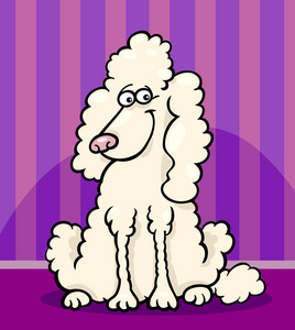 贵宾犬狗卡通插图图片