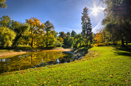 公园与池塘在秋天期间