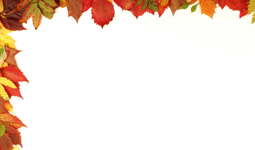 多彩的秋天帧