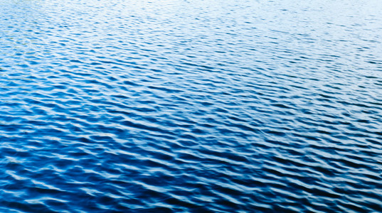 黑色水波纹在一个池塘的水波纹照片