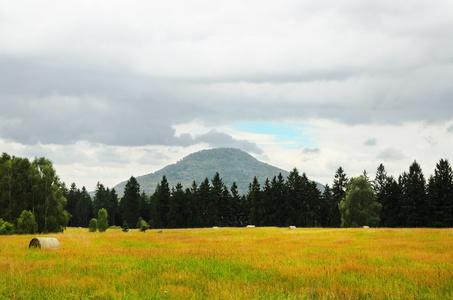 乡村景观