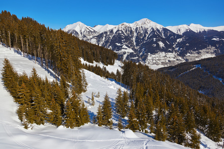 高山滑雪度假村加施奥地利