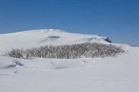 冬季冰天雪地平原