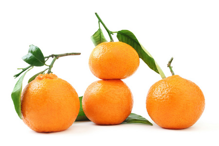 普通话与叶橘