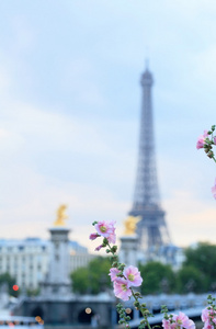 春天的巴黎埃菲尔铁塔