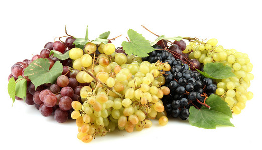 各种各样的成熟甜葡萄上白色孤立