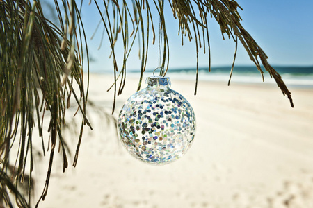 玻璃圣诞球垂悬从一棵树在海滩