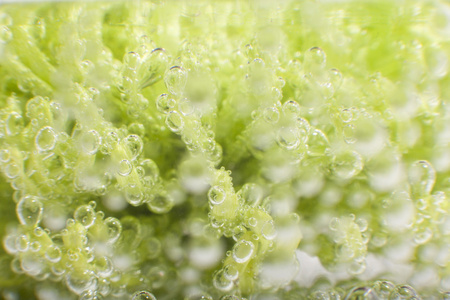 斯摩尔气泡在水中的绿色小花的背景