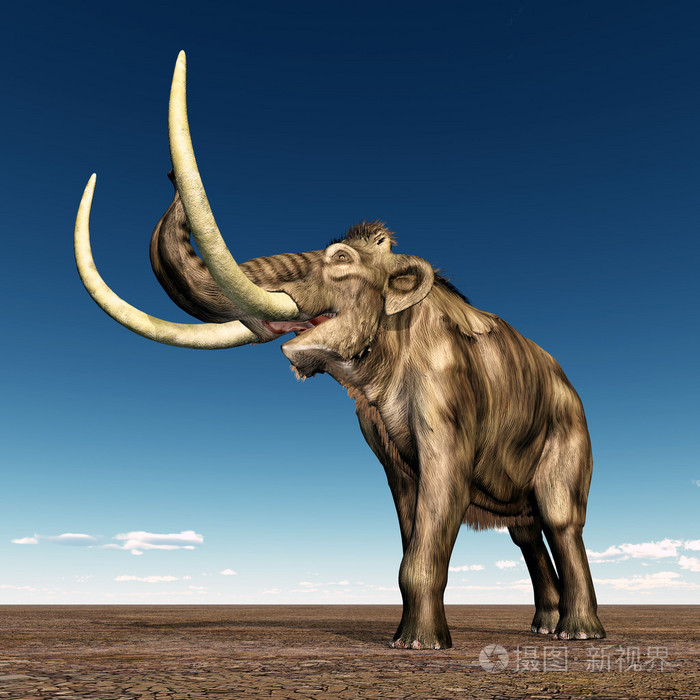 猛犸象