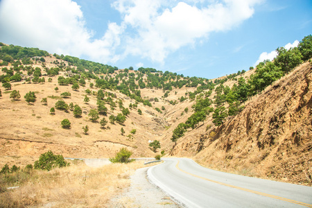 在山脉在奥林匹克山的路