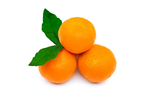 在白色背景上的几个橘