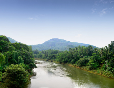 热带河