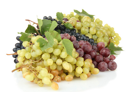 各种各样的成熟甜葡萄上白色孤立