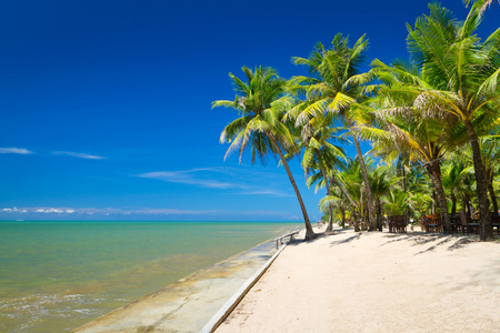 美丽的热带海滩与椰子棕榈树
