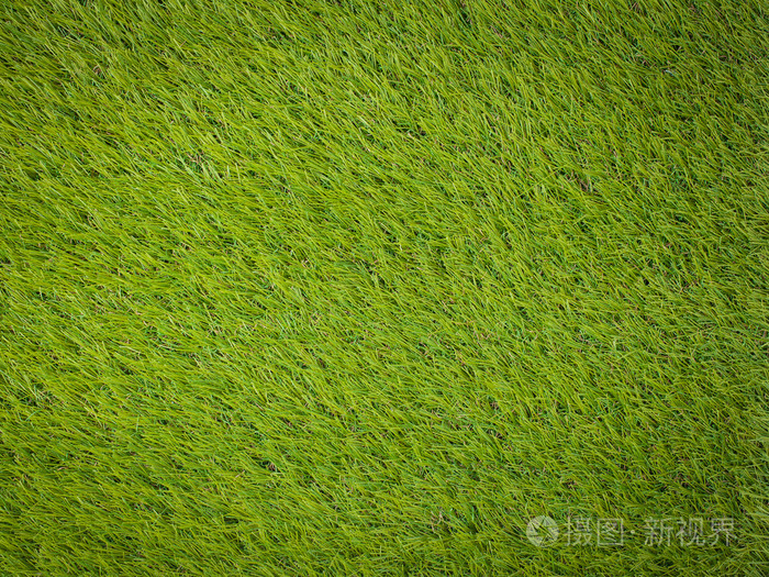 人工草皮日本绿色