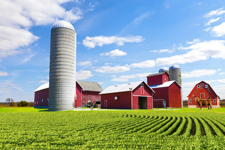 美国农村红农场与蓝蓝的天空照片