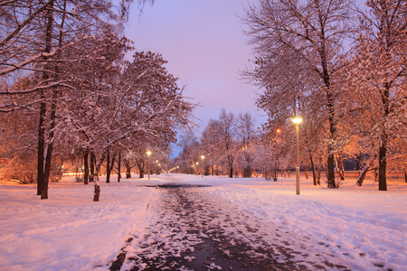 大雪覆盖的巷子里